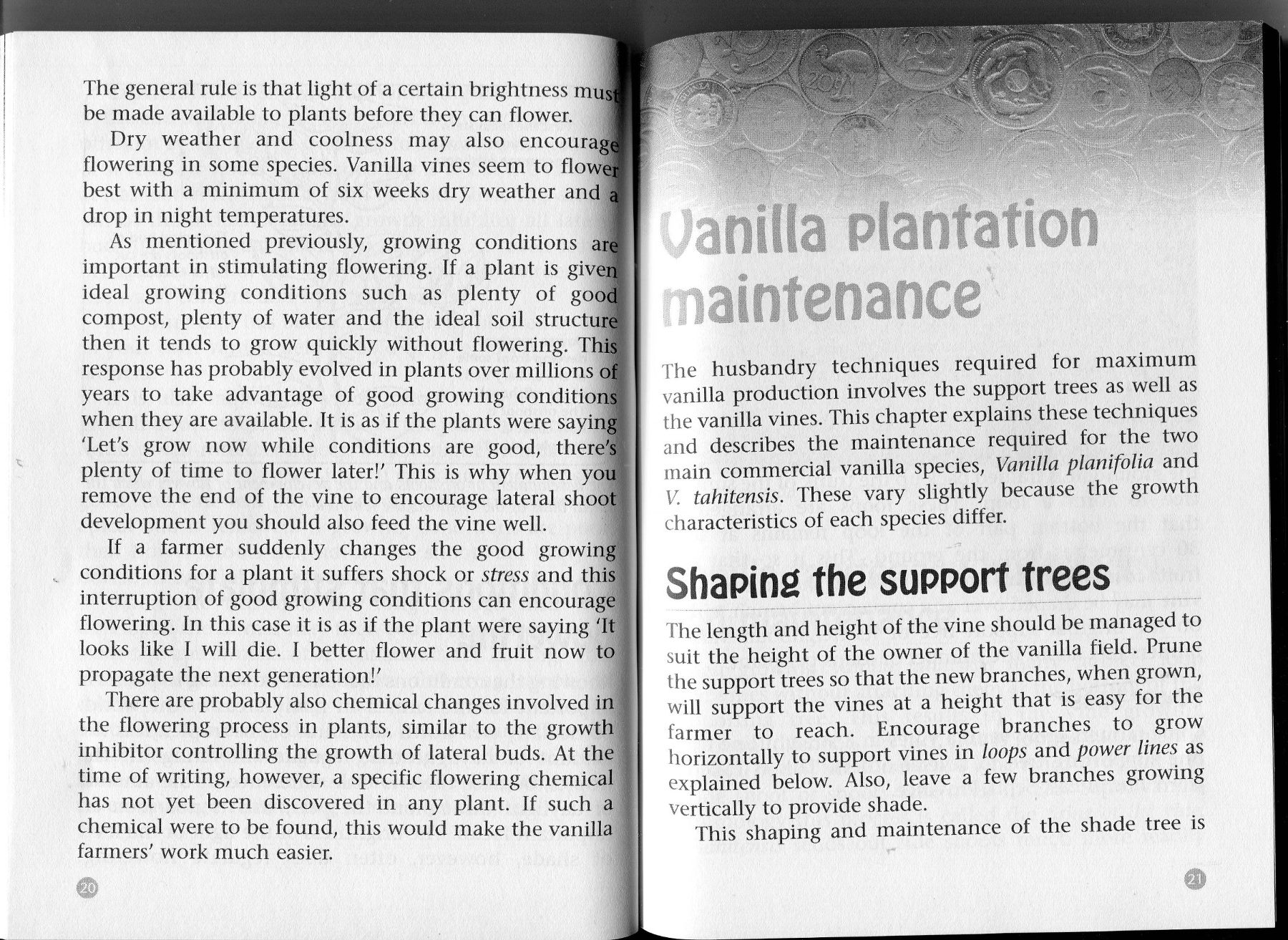 making-a-living-practical-guide-vanilla-farming-02.jpg