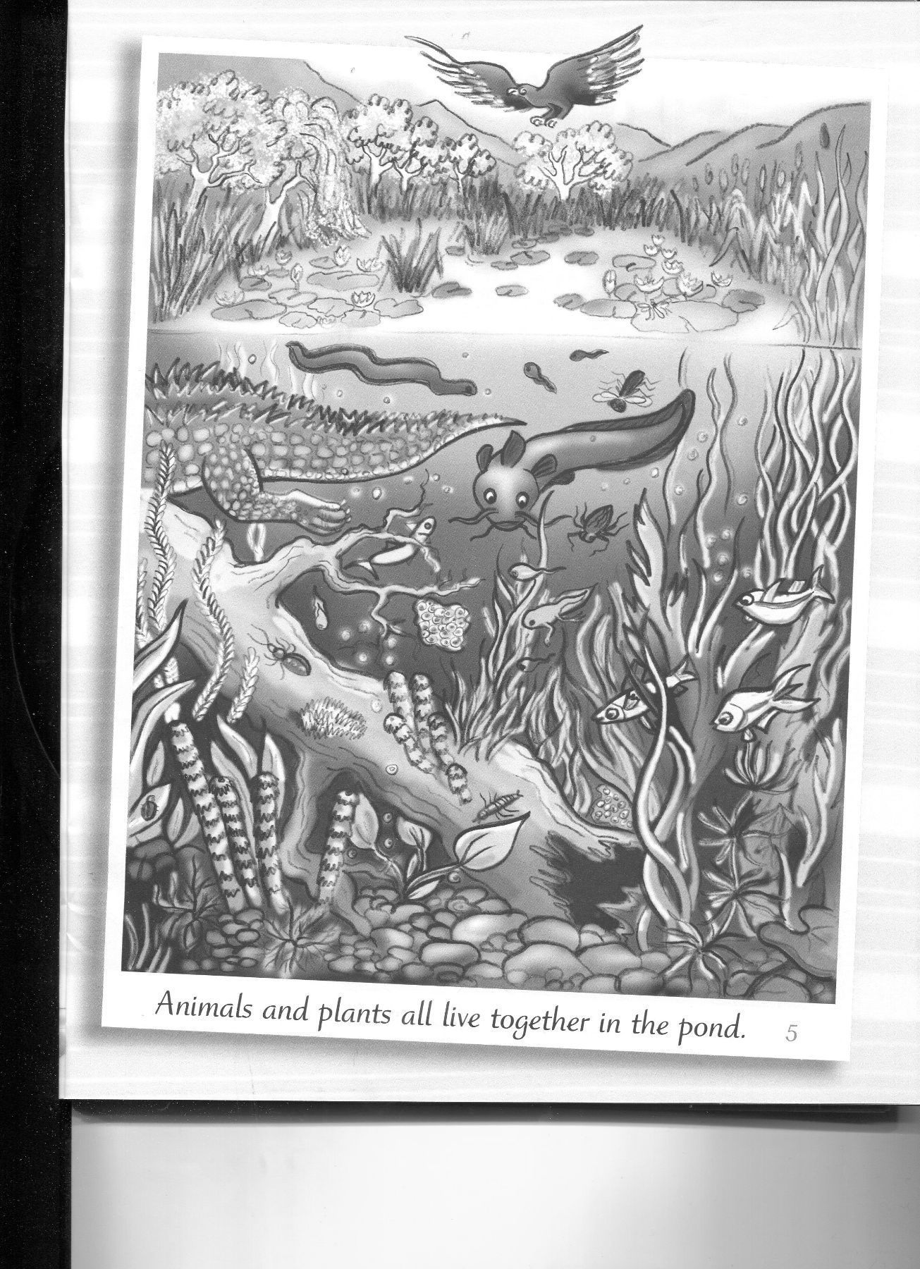 ples-bilong-yumi-reader-3-02.jpg