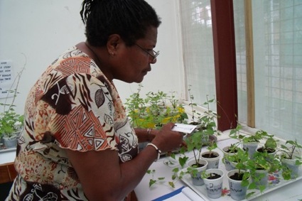 Anna in her laboratory